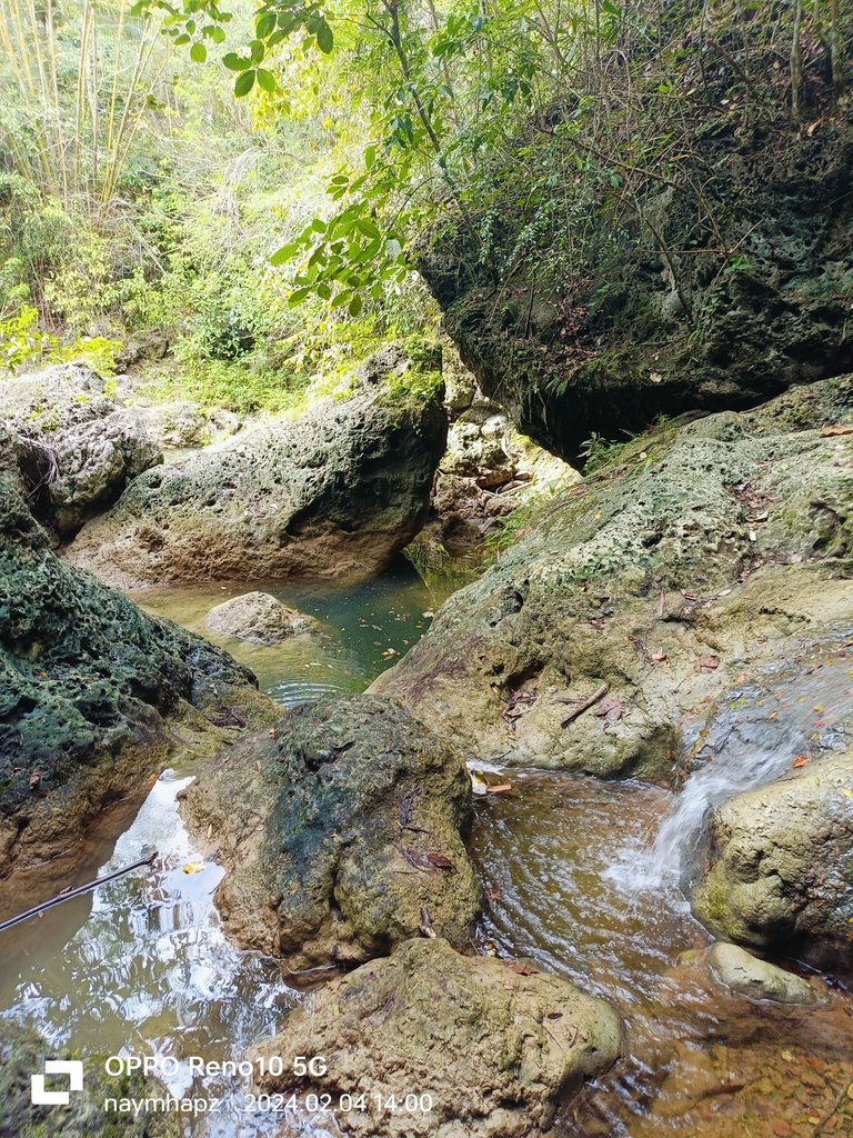 IMG20240204140048.jpg