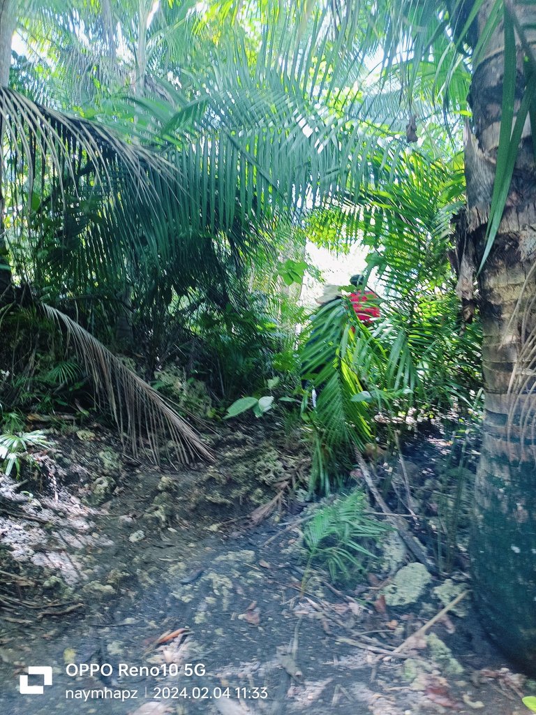 IMG20240204113306.jpg