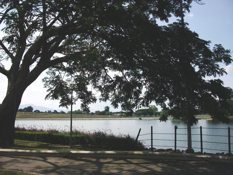 DSCF3718.JPG