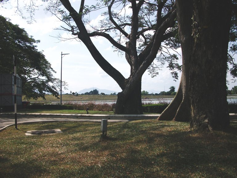 DSCF3720.JPG