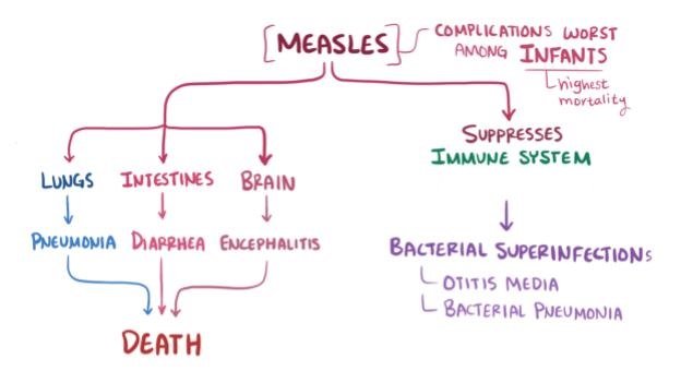 MeaslesOsmosisPic10.jpg