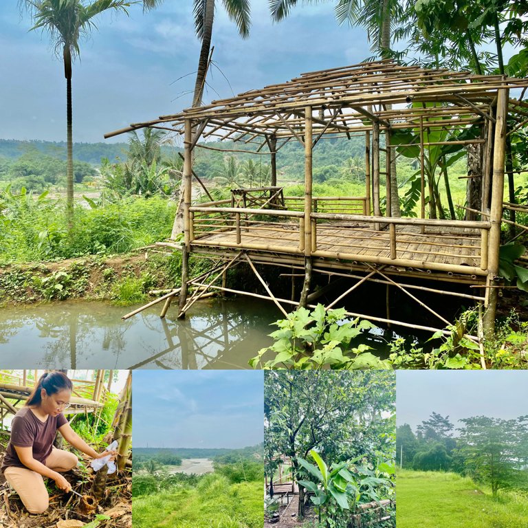 Go To The Garden To Pick Bamboo Shoots,See The Beautiful River View🍃🎋