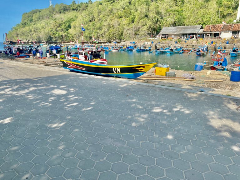 IMG_2724.jpeg