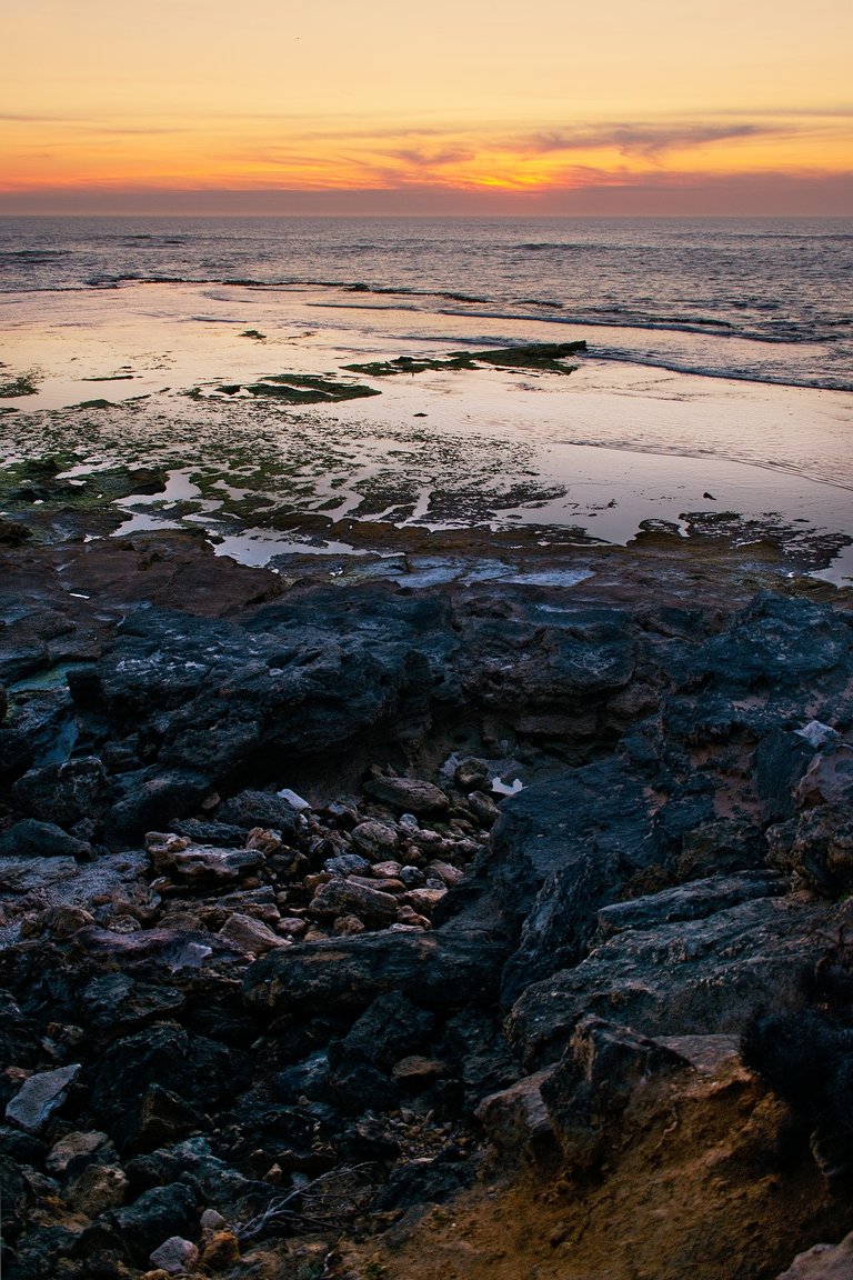 lowtide.jpg