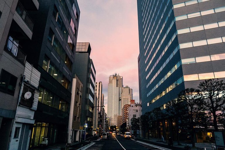 Calle en la tarde.jpg