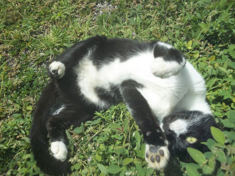 100_1161.JPG