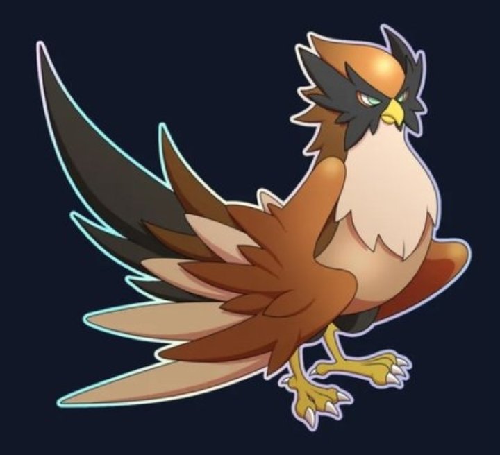 Falcon.jpg