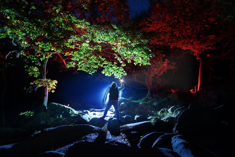 Padley Gorge 2.jpg