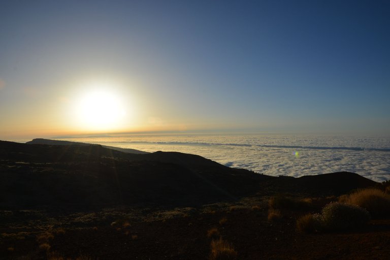 DSC_2190.JPG