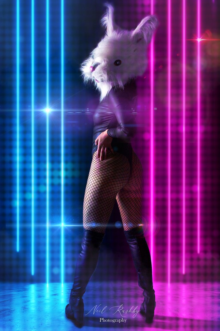 Disco Bunny.jpg