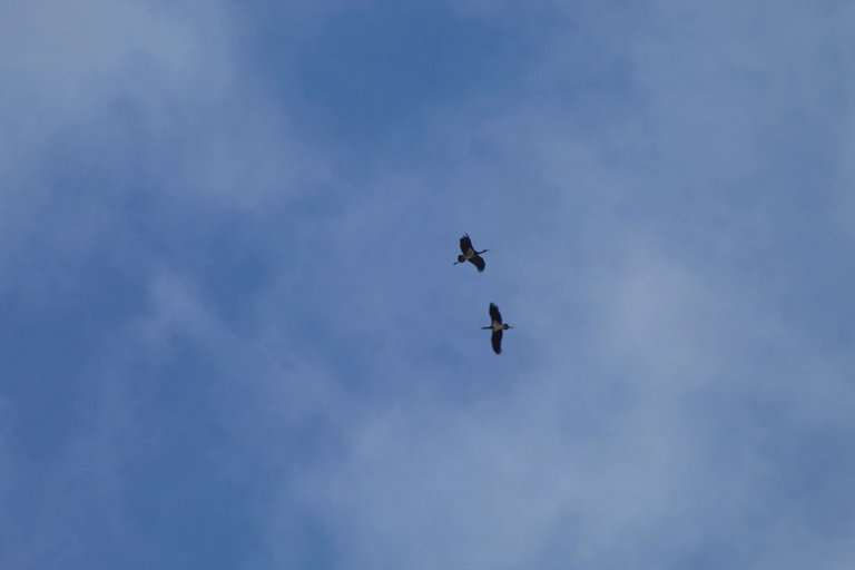PSX_20220918_103926.jpg