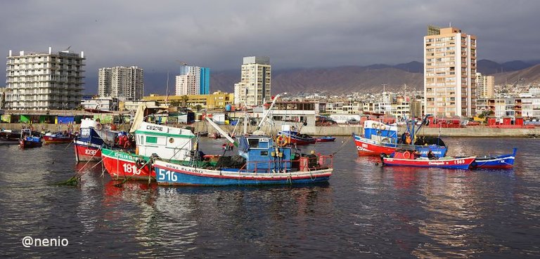 antofagasta-fishing-port-003.jpg