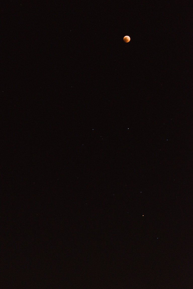 DSC_0283.jpg