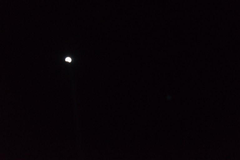 DSC_0207.jpg