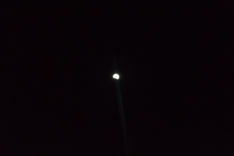 DSC_0208.jpg