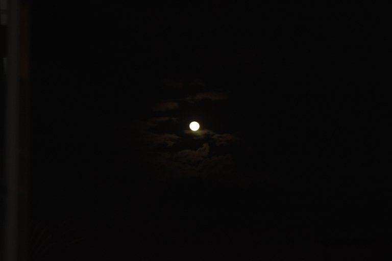 DSC_0229.jpg