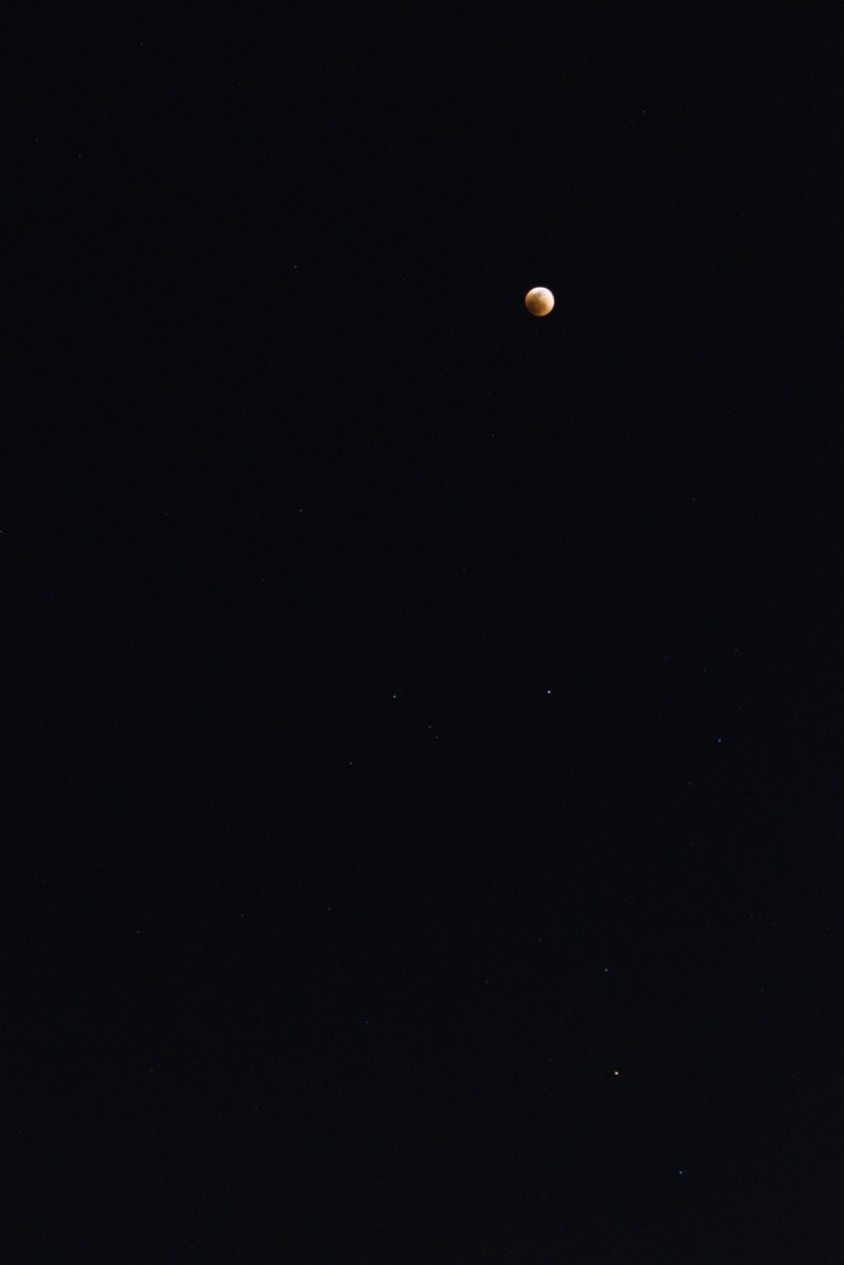 DSC_0281.jpg