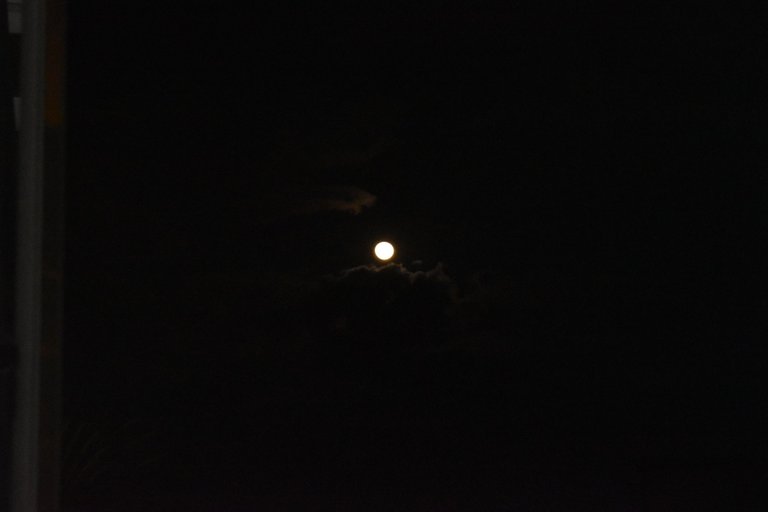 DSC_0223.jpg