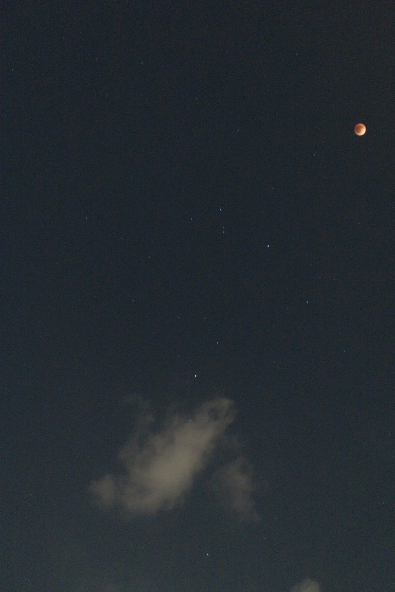 DSC_0332.jpg