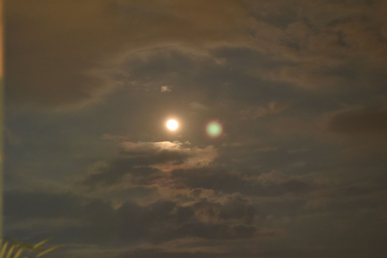 DSC_0250.jpg