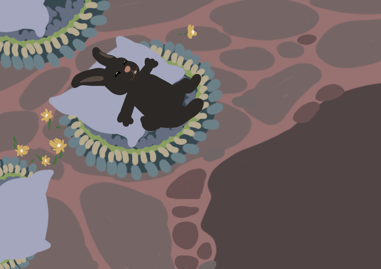 12673400-84E6-4018-ACD3-D22CCA859037.png