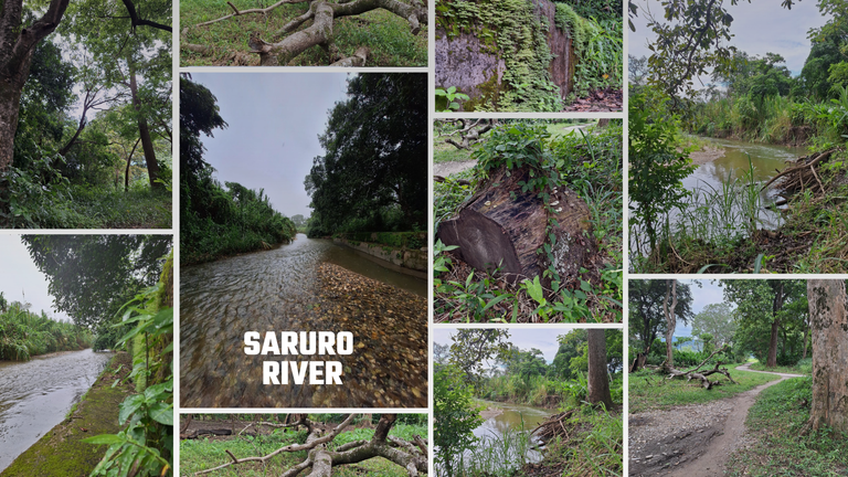 Saruro River.png