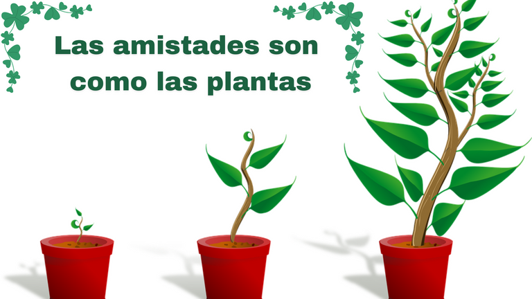 plantas.png