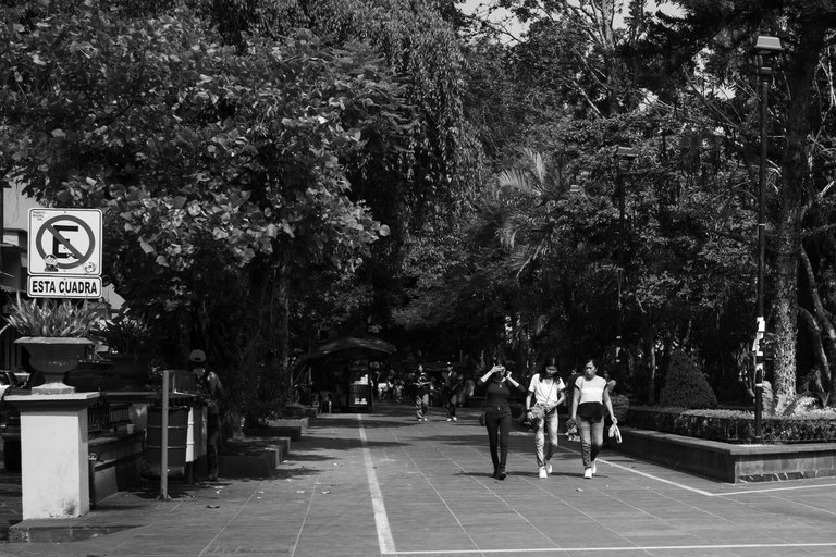 R0008200.jpg