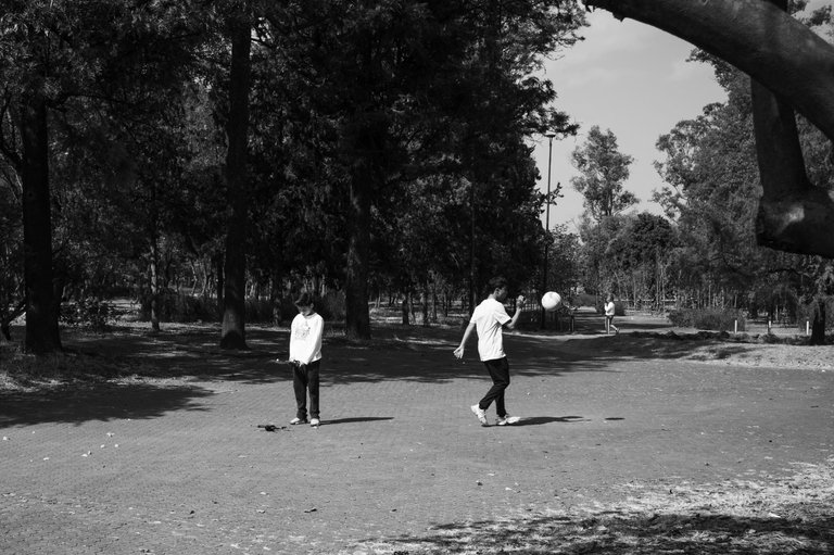 R0008942.jpg