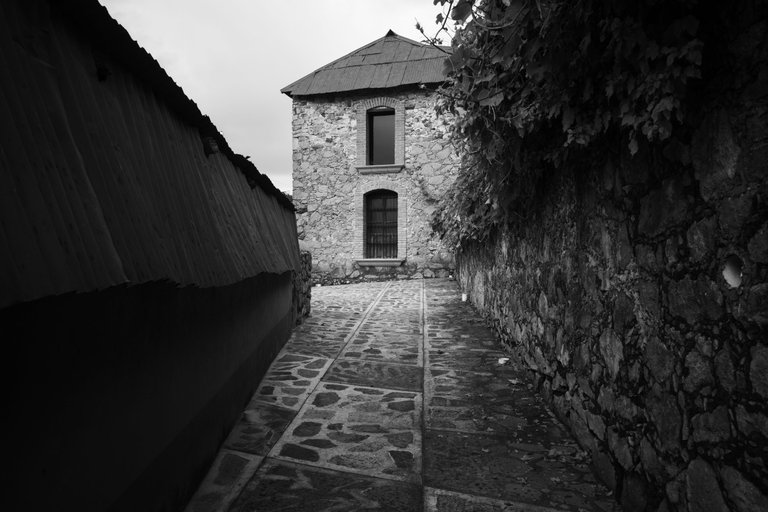 R0008614.jpg
