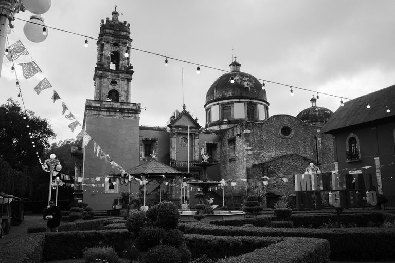 R0008692.jpg