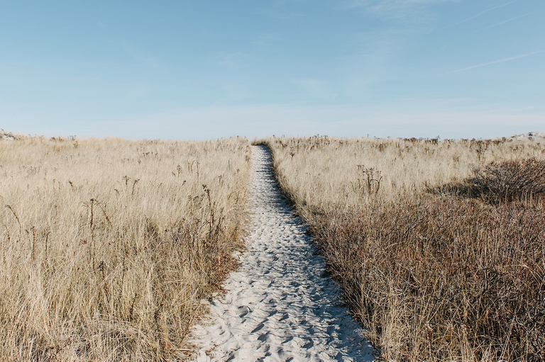 Prairiepathfieldscenicnatural.png