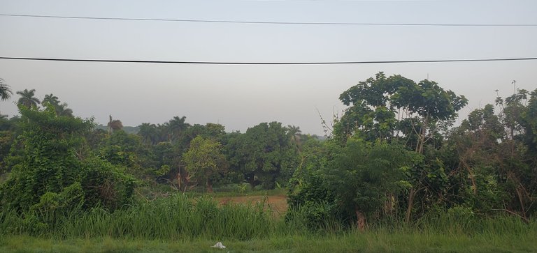 20230723_071054.jpg