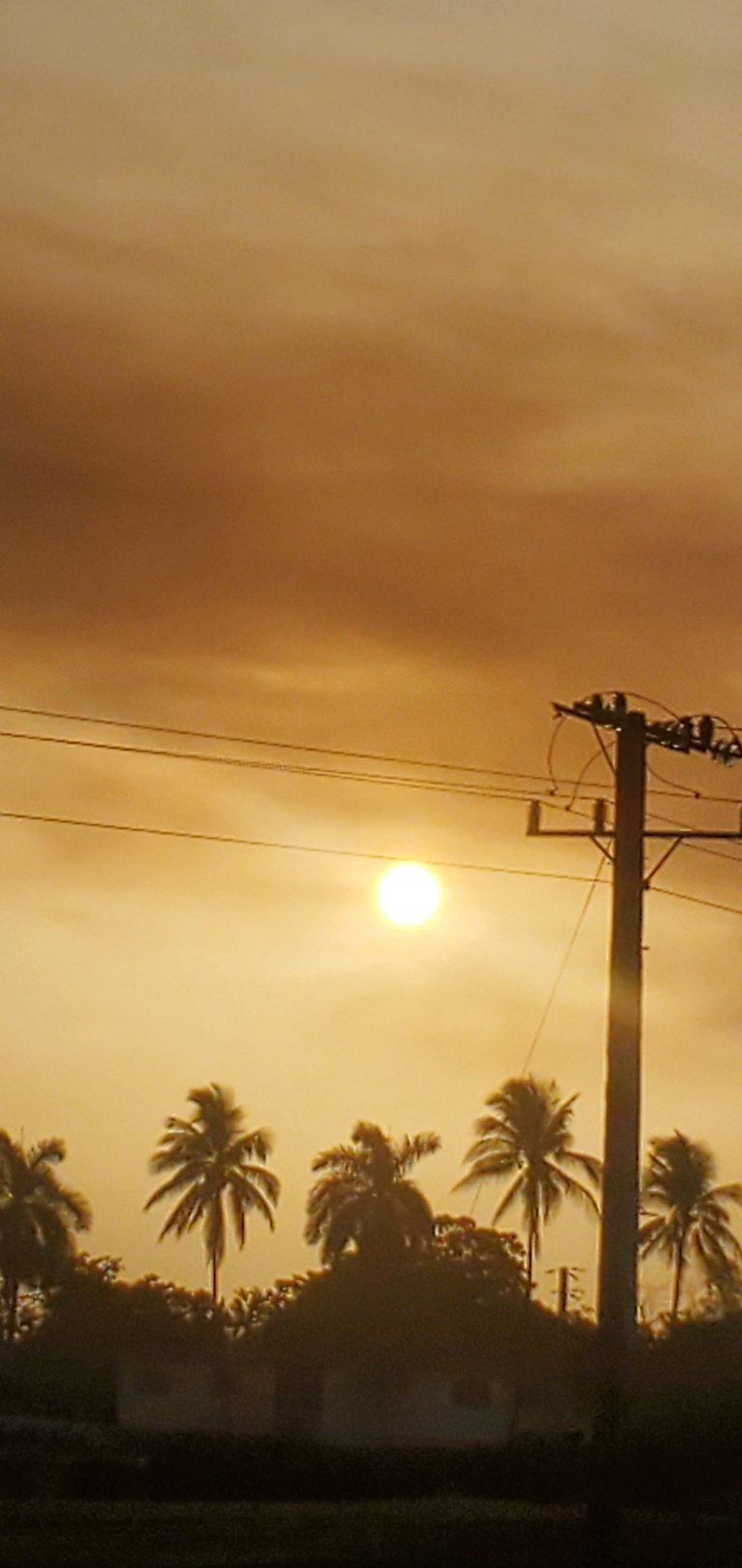 20230723_072556.jpg