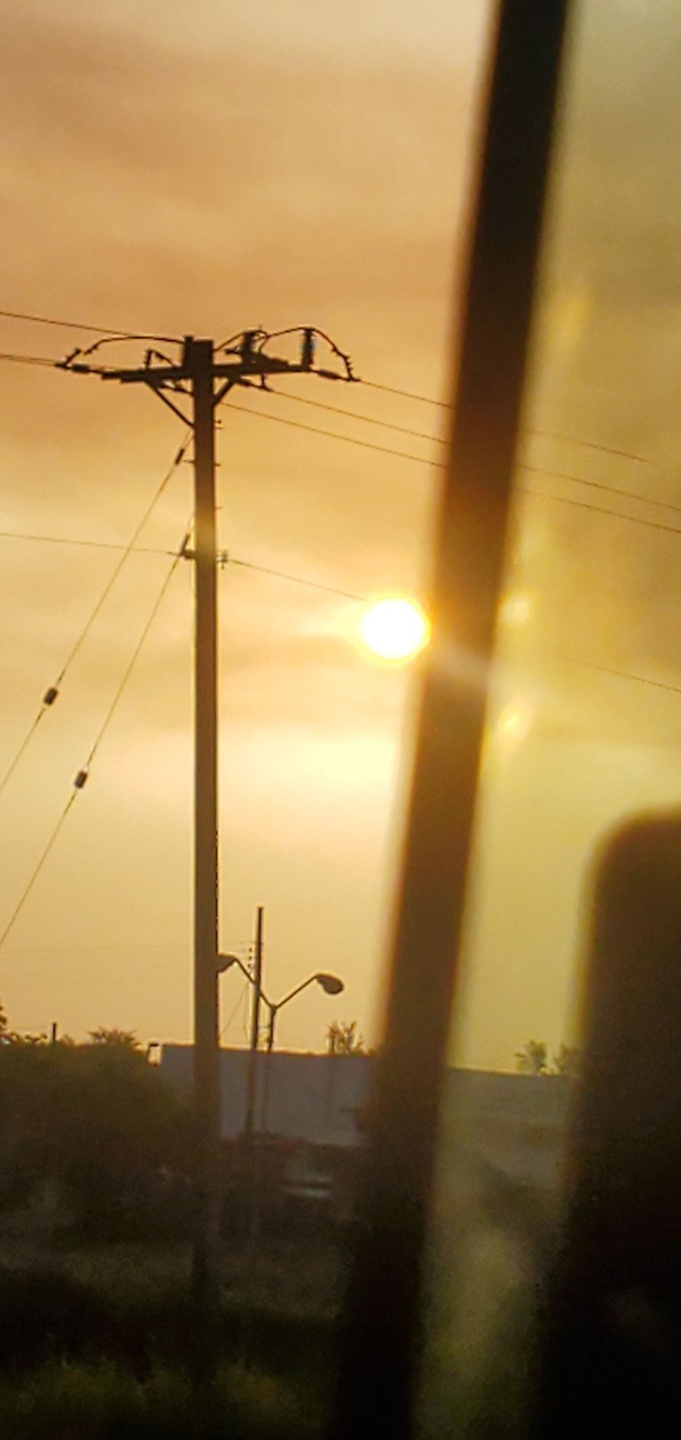 20230723_072633.jpg