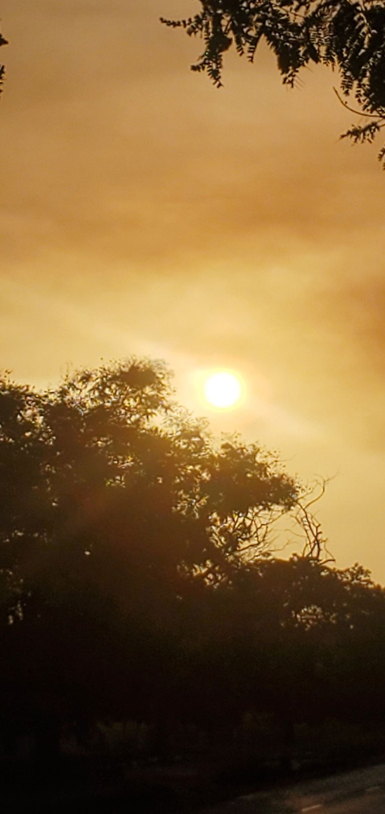 20230723_072747.jpg