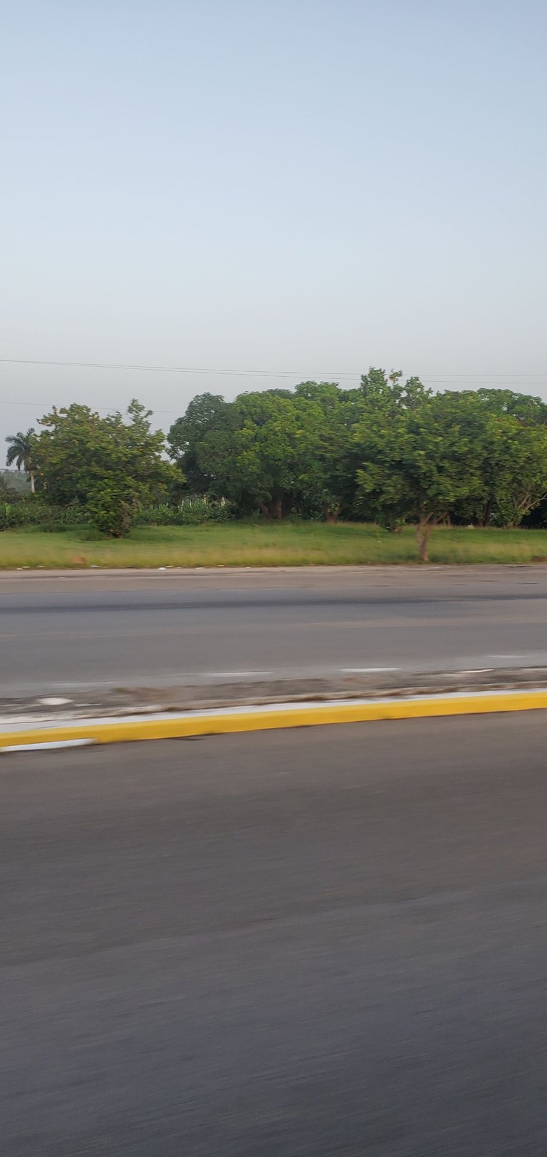 20230723_070934.jpg