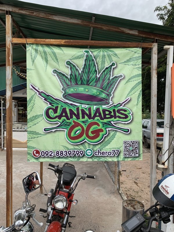 Thailand-Cannabis-2022-0007.jpg