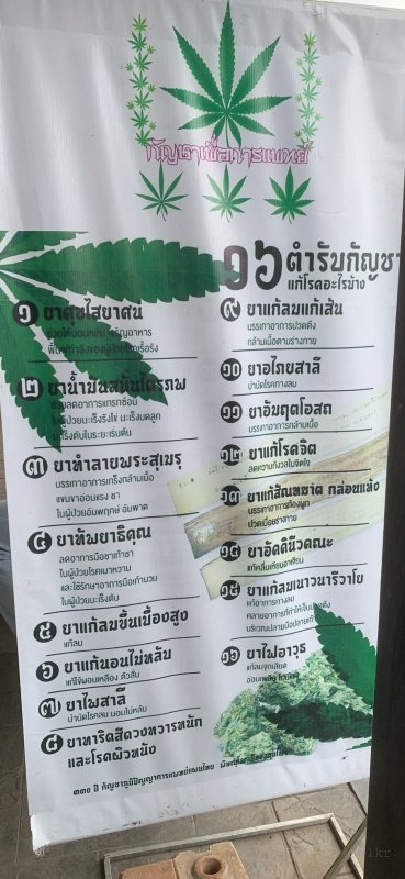 Thailand-Cannabis-2022-0014.jpg