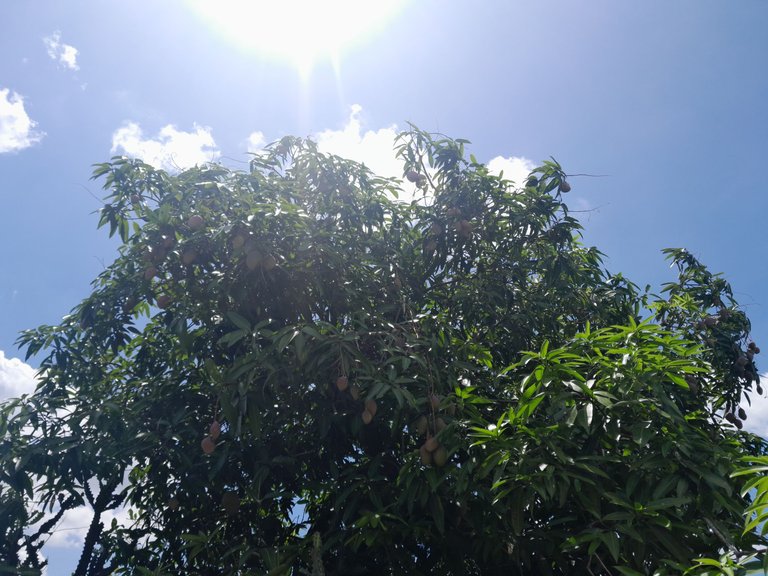 20250610_115219.jpg