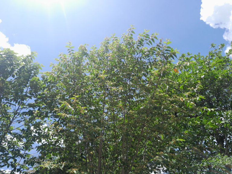 20250610_115146.jpg