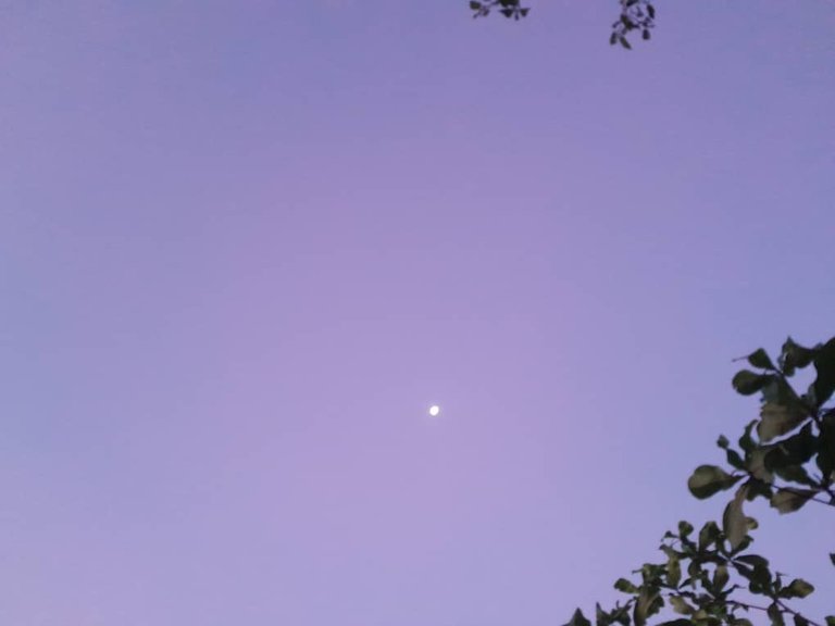 IMG-20250616-WA0017.jpg