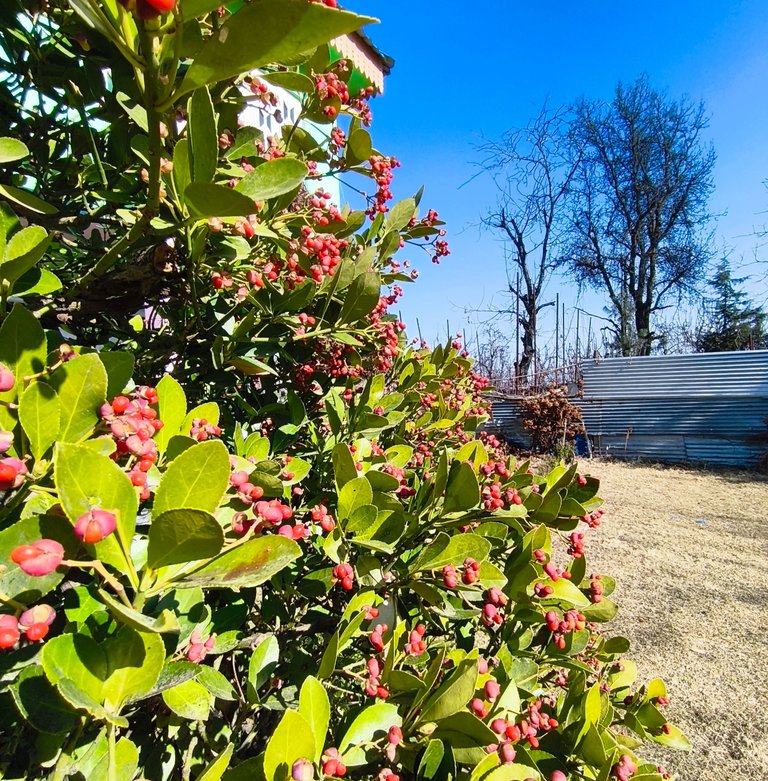 Winter photography but looks like Summer 🌞🏖️