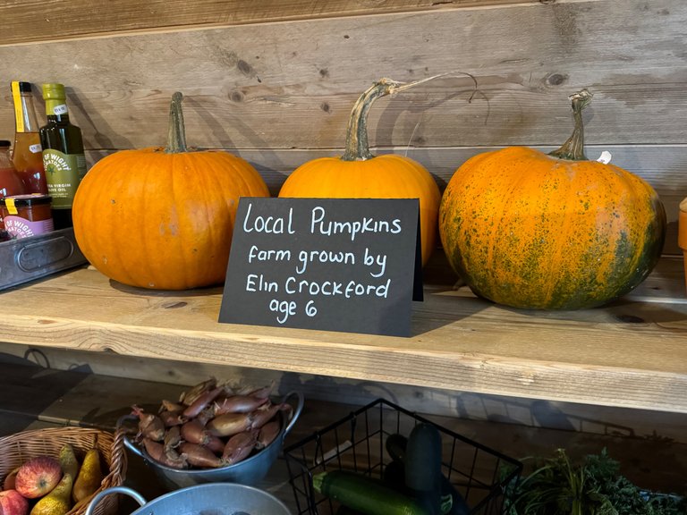 pumpkins, locally grown by Elin aged 6