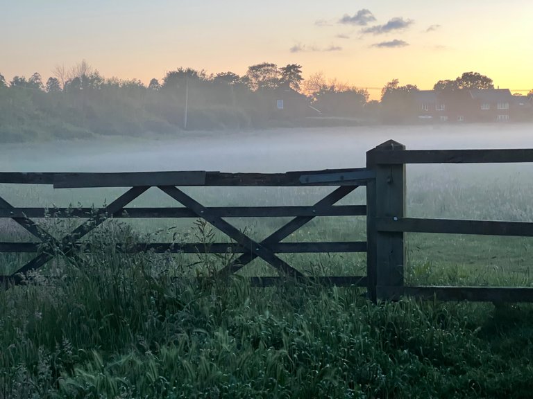 The misty meadow