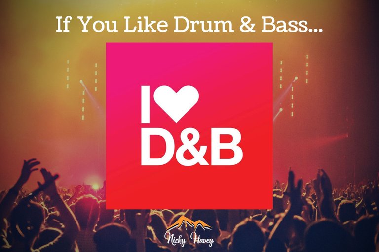 If You Like Drum Bass.jpg