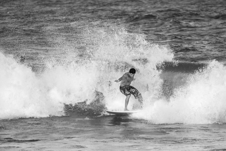_MG_2760.jpg