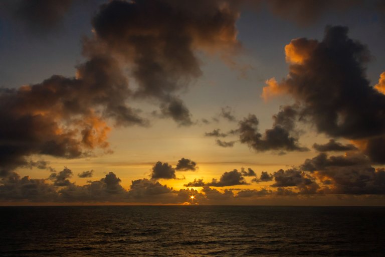 _MG_9746.jpg