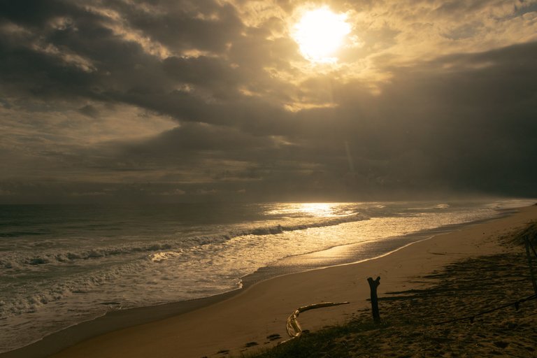 _MG_6744.jpg