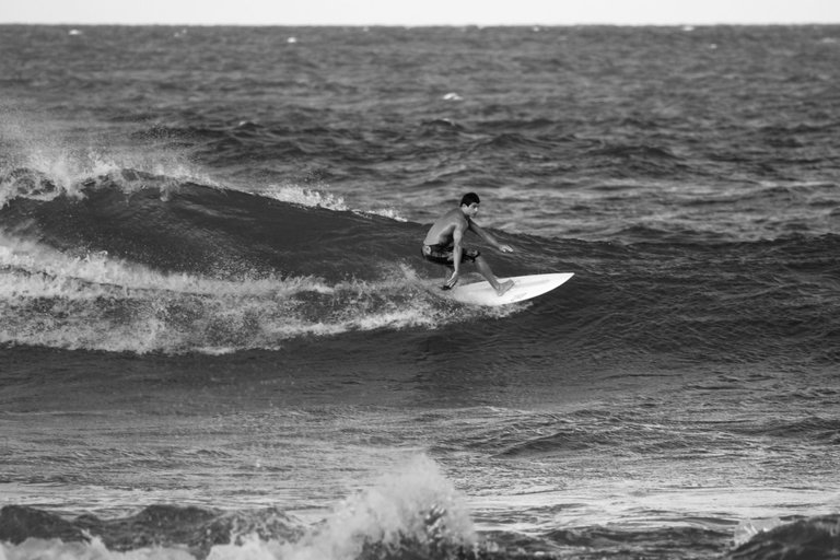 _MG_2749.jpg